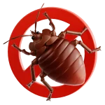 Hatékony rovairtás