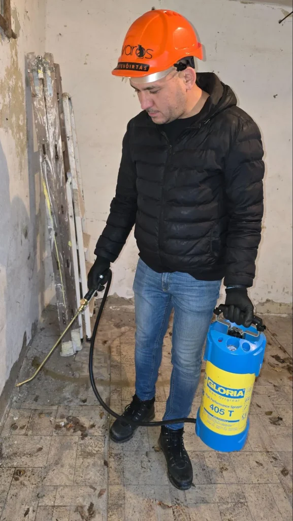 Rovarirtás Budapesten